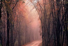 问鼎娱乐官网:“从小孩到老小孩”——马龙的四次奥运之旅新华网.