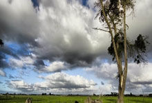 米体:尤文正在评估韦加去留,可能不会尝试买断.