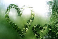 名场面!泰森生涯最残暴一战,对手为保命直接现场弃赛逃跑.