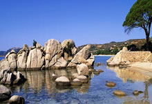 问鼎娱乐官网:巴西vs哥伦比亚:维尼修斯、拉菲尼亚首发,J罗、迪亚斯出战.